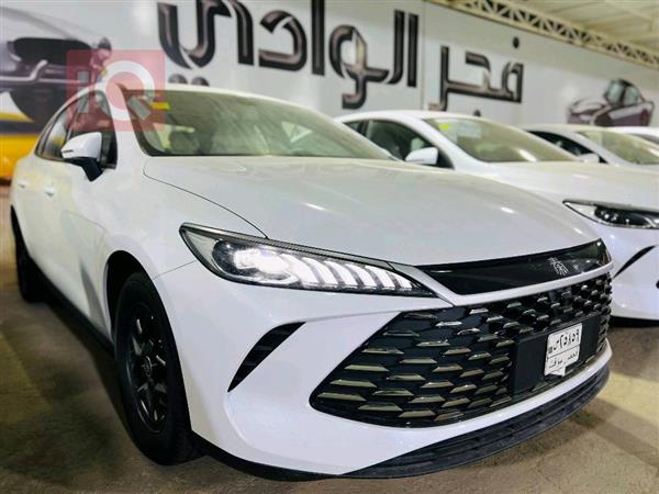 بي واي دي Qin Plus 2025 للبيع في العراق - النجف